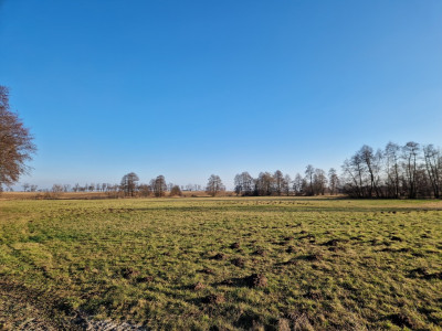 Działka Budowlana dla Rolnika  Bielawy - Bielawy  -
Łódzkie Zdjęcie nr 3