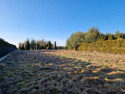 Działka w Pokrzywnicy  nieoficjalny środek Polski - Pokrzywnica  -
Łódzkie Zdjęcie nr 6