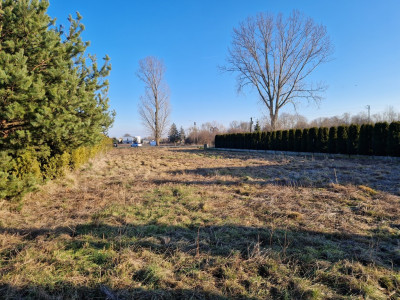 Działka w Pokrzywnicy  nieoficjalny środek Polski - Pokrzywnica  -
Łódzkie Zdjęcie nr 7