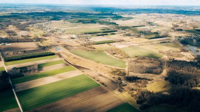 Działka rolna - Brzozówka gmina Cielądz - Brzozówka  -
Łódzkie Zdjęcie nr 12