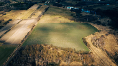 Działka rolna - Brzozówka gmina Cielądz - Brzozówka  -
Łódzkie Zdjęcie nr 4