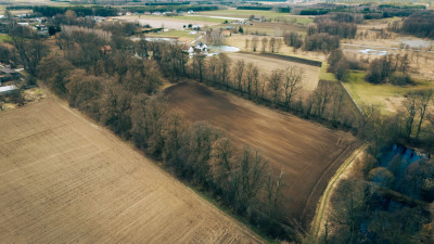 Działka rolna - Brzozówka gmina Cielądz - Brzozówka  -
Łódzkie Zdjęcie nr 6