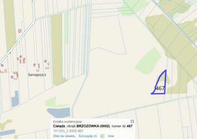 Działka rolna - Brzozówka gmina Cielądz - Brzozówka  -
Łódzkie Zdjęcie nr 11