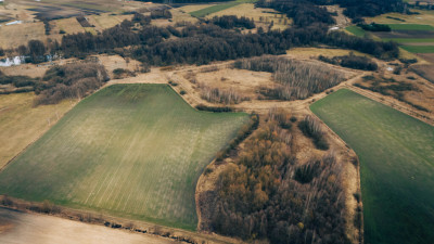 Zainwestuj w Brzozówkę - Brzozówka  -
Łódzkie Zdjęcie nr 9