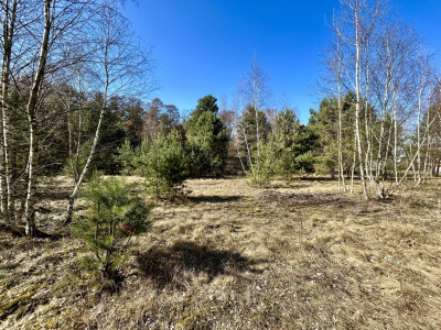 Twój prywatny park w sercu Solca Kujawskiego - Solec Kujawski  -
Kujawsko-Pomorskie Zdjęcie nr 3