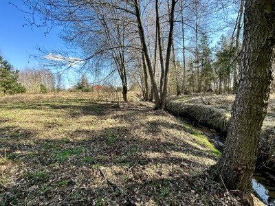 Twój prywatny park w sercu Solca Kujawskiego - Solec Kujawski  -
Kujawsko-Pomorskie Zdjęcie nr 5