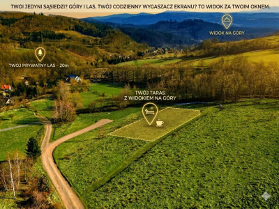 Działka - 15 arów Wilcza -Kłodzko - Wilcza  - Dolnośląskie