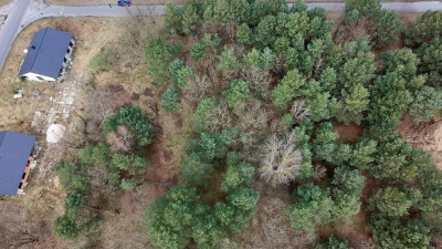 PROMOCJA  działki budowlane Tomaszowo - Tomaszowo  -
Lubuskie Zdjęcie nr 4