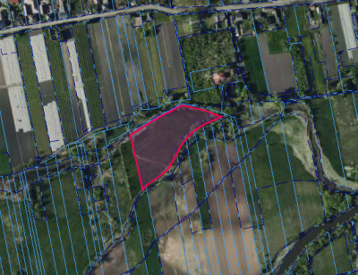 Działka rolna 143 ha  Kompina gm Nieborów - Kompina  -
Łódzkie Zdjęcie nr 4