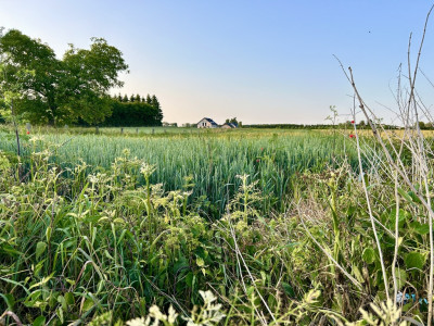 Twoja nowoczesna stodoła z ogrodem marzeń - Dąbrówka Nowa  -
Kujawsko-Pomorskie Zdjęcie nr 11