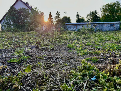 Twoja nowoczesna stodoła z ogrodem marzeń - Dąbrówka Nowa  -
Kujawsko-Pomorskie Zdjęcie nr 6
