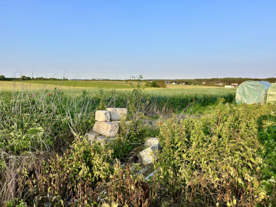 Twoja nowoczesna stodoła z ogrodem marzeń - Dąbrówka Nowa  -
Kujawsko-Pomorskie Zdjęcie nr 8