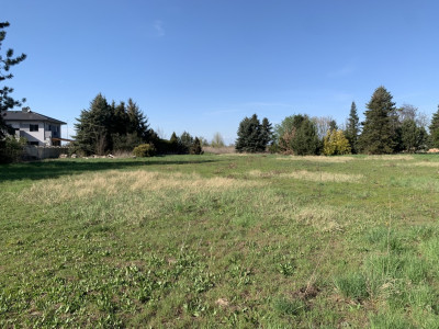 Działka 3856 m z WZ - idealna pod inwestycję - Skałowo  -
Wielkopolskie Zdjęcie nr 3