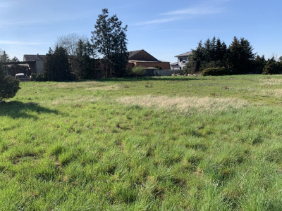 Działka 3856 m z WZ - idealna pod inwestycję - Skałowo  -
Wielkopolskie Zdjęcie nr 8