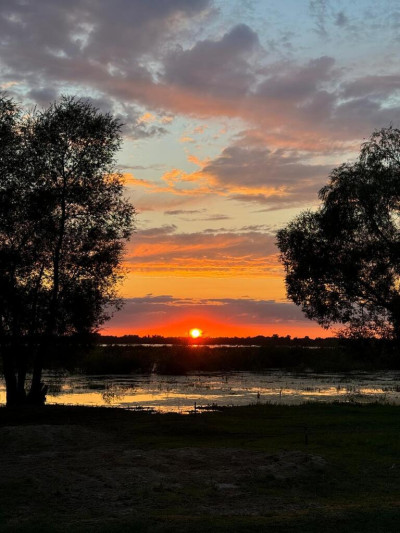 Działka z domkiem w sąsiedztwie Zalewu Jeziorsko - Glinno  -
Łódzkie Zdjęcie nr 5