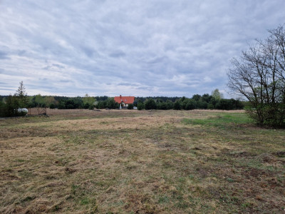 Kotowice  działka z WZ media - Kotowice  -
Łódzkie Zdjęcie nr 4