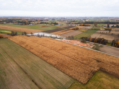 243 ha inwestycyjne z MPZP 2 km do A1 gm Rzgów - Kalino  -
Łódzkie Zdjęcie nr 10