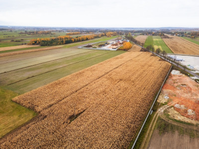 243 ha inwestycyjne z MPZP 2 km do A1 gm Rzgów - Kalino  -
Łódzkie Zdjęcie nr 12
