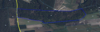 123 ha lasu w rozsądnych pieniądzach - Żebry-Perosy  -
Mazowieckie Zdjęcie nr 4