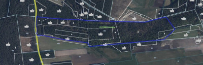 123 ha lasu w rozsądnych pieniądzach - Żebry-Perosy  -
Mazowieckie Zdjęcie nr 5