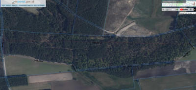 123 ha lasu w rozsądnych pieniądzach - Żebry-Perosy  -
Mazowieckie Zdjęcie nr 7