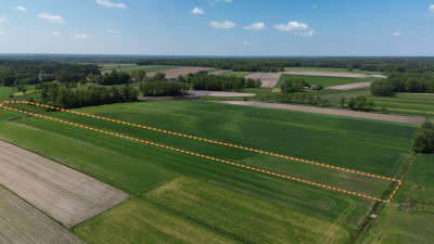 Działka z ziemią rolną - 158 ha gmina Dłutów - Redociny  -
Łódzkie Zdjęcie nr 3