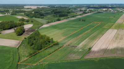 Działka z ziemią rolną - 158 ha gmina Dłutów - Redociny  -
Łódzkie Zdjęcie nr 4