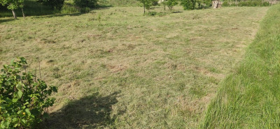 Działka pod Twój dom 15 ar WZ w trakcie - Nowy Kisielin  -
Lubuskie Zdjęcie nr 10