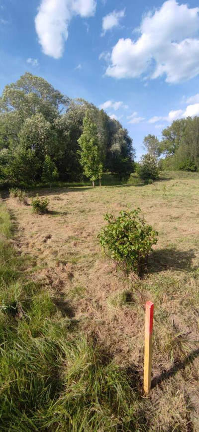 Działka pod Twój dom 15 ar WZ w trakcie - Nowy Kisielin  -
Lubuskie Zdjęcie nr 11