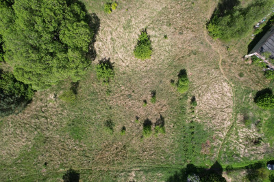 Działka pod Twój dom 15 ar WZ w trakcie - Nowy Kisielin  -
Lubuskie Zdjęcie nr 12