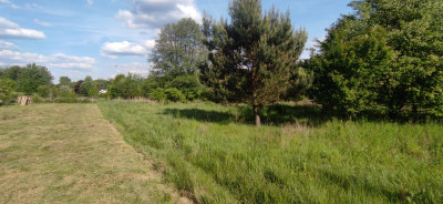 Działka pod Twój dom 15 ar WZ w trakcie - Nowy Kisielin  -
Lubuskie Zdjęcie nr 4