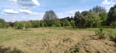 Działka pod Twój dom 15 ar WZ w trakcie - Nowy Kisielin  -
Lubuskie Zdjęcie nr 6