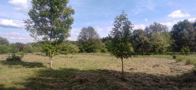 Działka pod Twój dom 15 ar WZ w trakcie - Nowy Kisielin  -
Lubuskie Zdjęcie nr 7