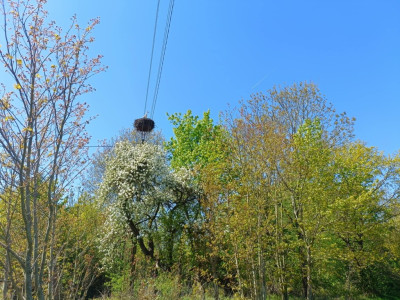 OKAZJA Dobrzyń - 956ha możliwa zabudowa - Dobrzyń  -
Zachodniopomorskie Zdjęcie nr 10