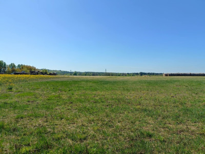 OKAZJA Dobrzyń - 956ha możliwa zabudowa - Dobrzyń  -
Zachodniopomorskie Zdjęcie nr 13