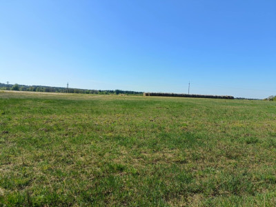 OKAZJA Dobrzyń - 956ha możliwa zabudowa - Dobrzyń  -
Zachodniopomorskie Zdjęcie nr 14