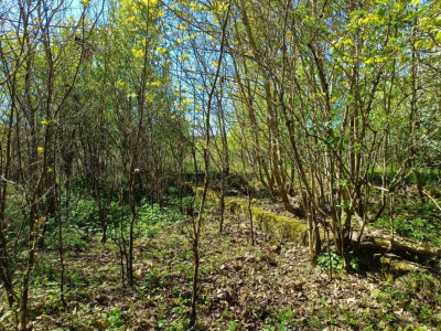 OKAZJA Dobrzyń - 956ha możliwa zabudowa - Dobrzyń  -
Zachodniopomorskie Zdjęcie nr 5