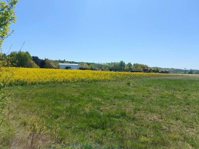 OKAZJA Dobrzyń - 956ha możliwa zabudowa - Dobrzyń  -
Zachodniopomorskie Zdjęcie nr 6