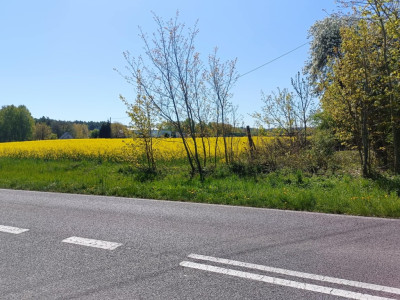 OKAZJA Dobrzyń - 956ha możliwa zabudowa - Dobrzyń  -
Zachodniopomorskie Zdjęcie nr 7