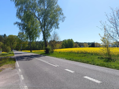 OKAZJA Dobrzyń - 956ha możliwa zabudowa - Dobrzyń  -
Zachodniopomorskie Zdjęcie nr 8