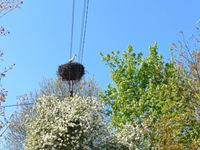 OKAZJA Dobrzyń - 956ha możliwa zabudowa - Dobrzyń  -
Zachodniopomorskie Zdjęcie nr 9