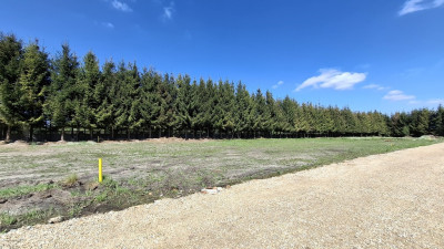 Piękne działki w Rydzynach gmina Pabianice - Rydzyny  - Łódzkie