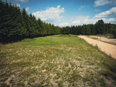 Piękne działki w Rydzynach gmina Pabianice - Rydzyny  -
Łódzkie Zdjęcie nr 2