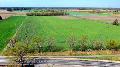 Najtańsze działki budowlane z WZ  - Kolsko  -
Lubuskie Zdjęcie nr 2
