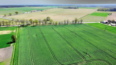 Najtańsze działki budowlane z WZ  - Kolsko  -
Lubuskie Zdjęcie nr 4