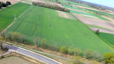 Najtańsze działki budowlane z WZ  - Kolsko  -
Lubuskie Zdjęcie nr 5