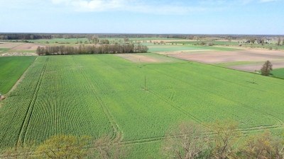 Najtańsze działki budowlane z WZ  - Kolsko  -
Lubuskie Zdjęcie nr 6