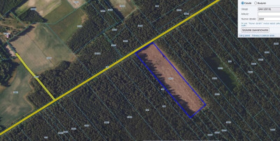 Posadź swój las zostaw coś po sobie - Saki  -
Podlaskie Zdjęcie nr 4