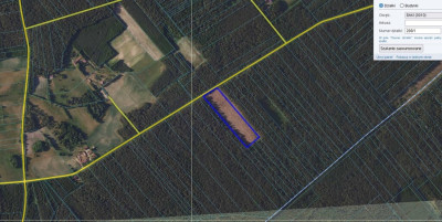 Posadź swój las zostaw coś po sobie - Saki  -
Podlaskie Zdjęcie nr 5