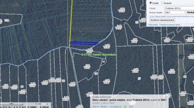 Grunt leśny z postępującą sukcesją naturalną - Podbiele  -
Mazowieckie Zdjęcie nr 4